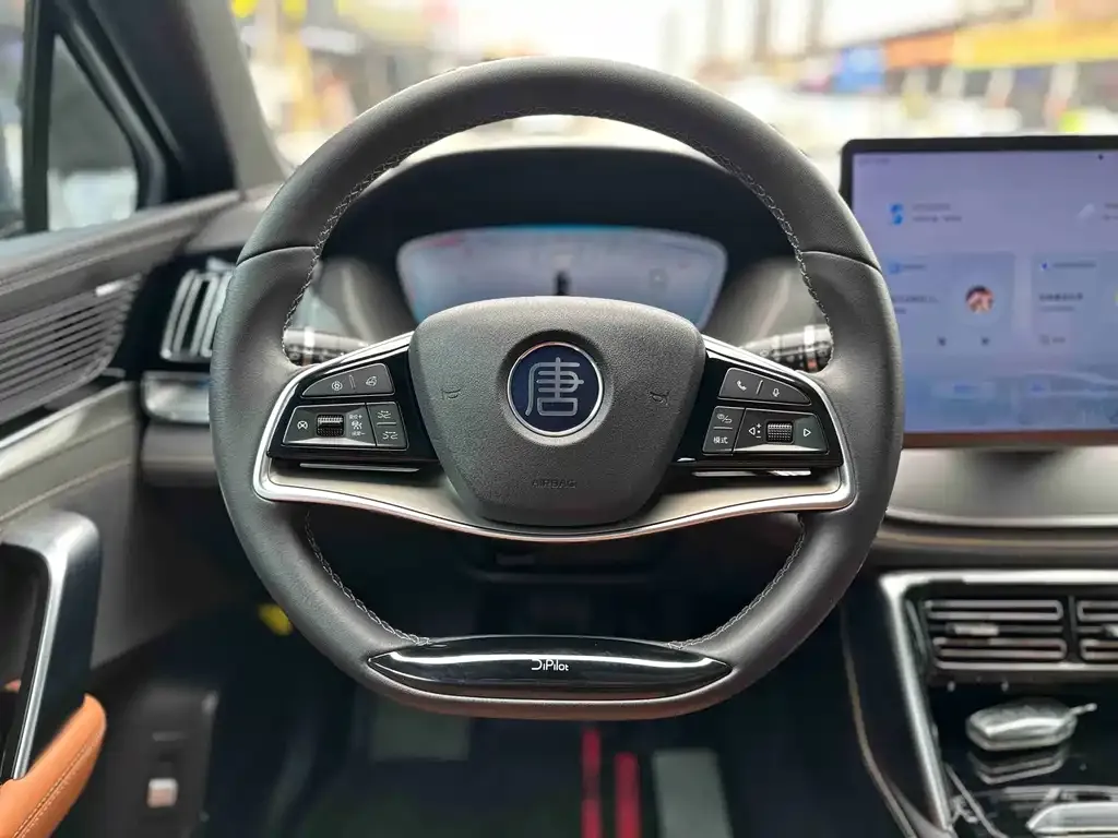 BYD Tang New Energy 2024 из CN, фото 7