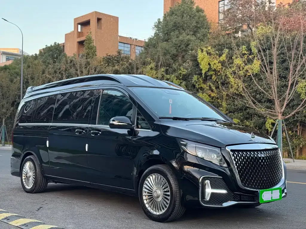 Mercedes-Benz V-Class 2021 из CN, фото 3