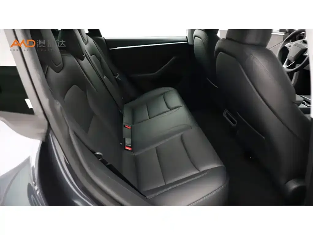 Tesla Model 3 2025 из CN, фото 8
