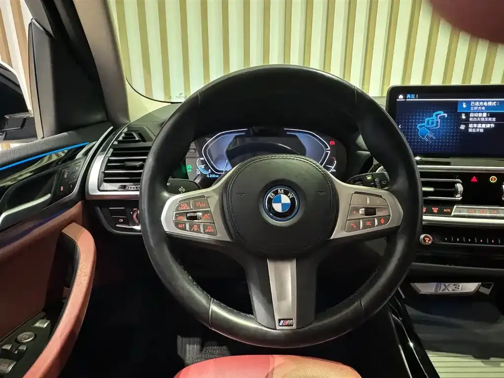 BMW iX3 2023 из CN, фото 8