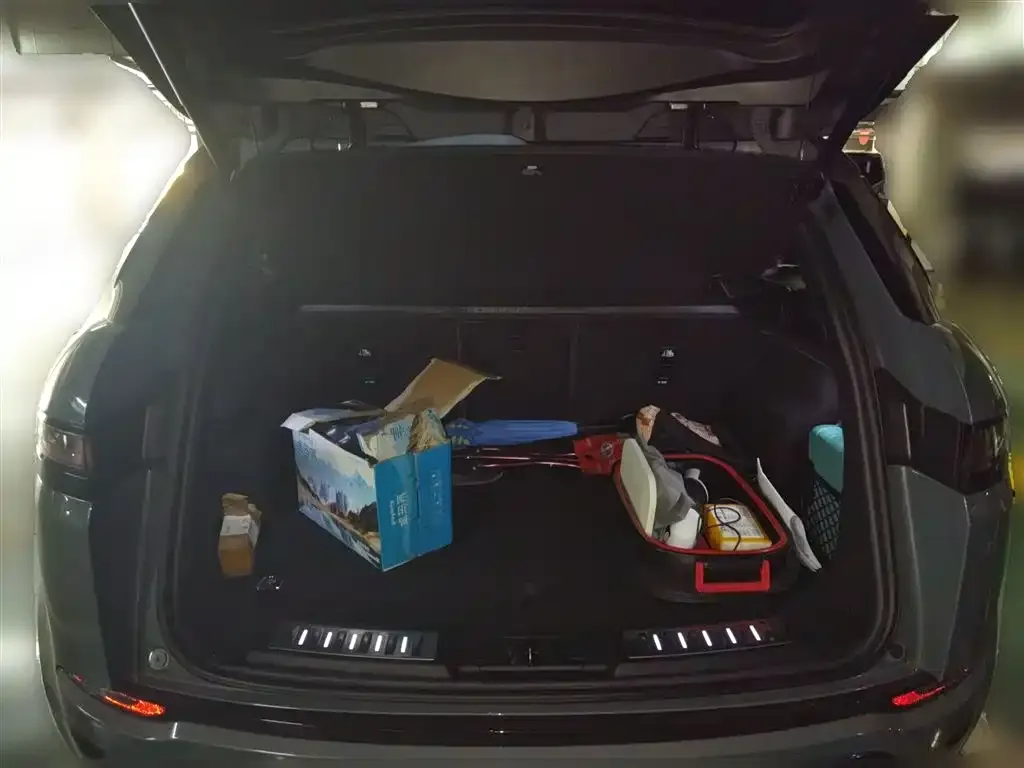 Land Rover Evoque 2021 из CN, фото 10