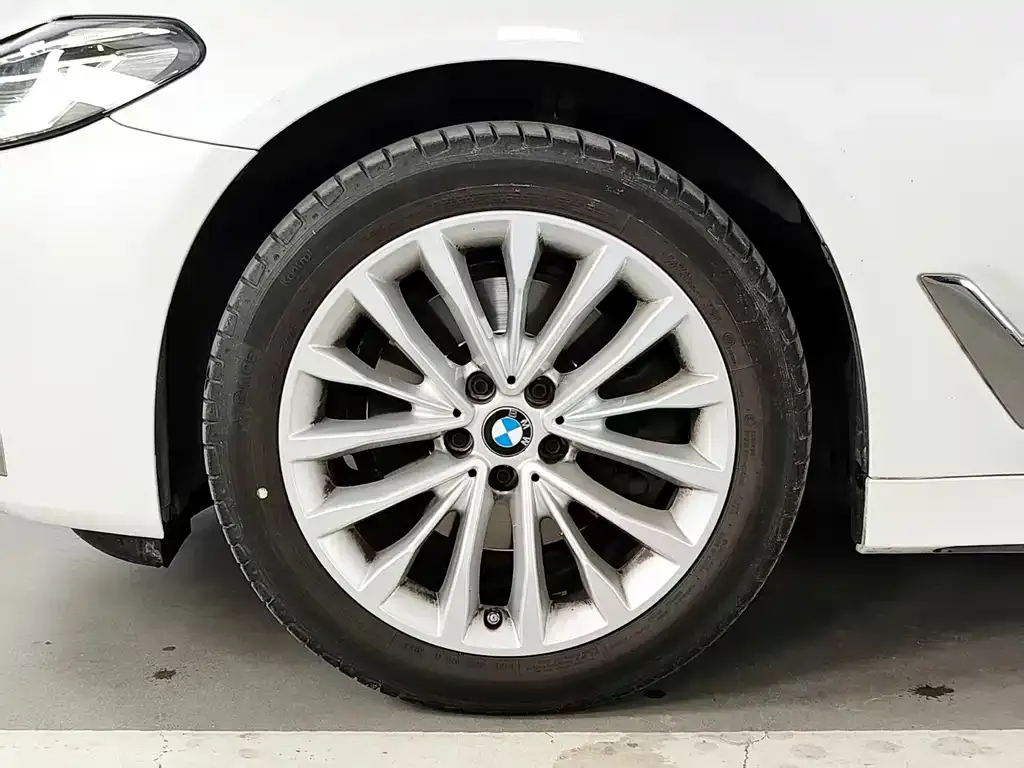 BMW 5 Series 2024 из CN, фото 4