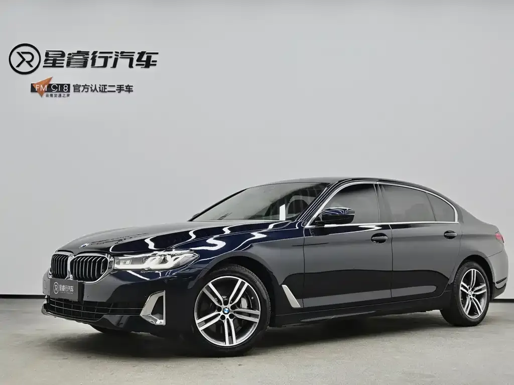 BMW 5 Series 2021 из CN, фото 1