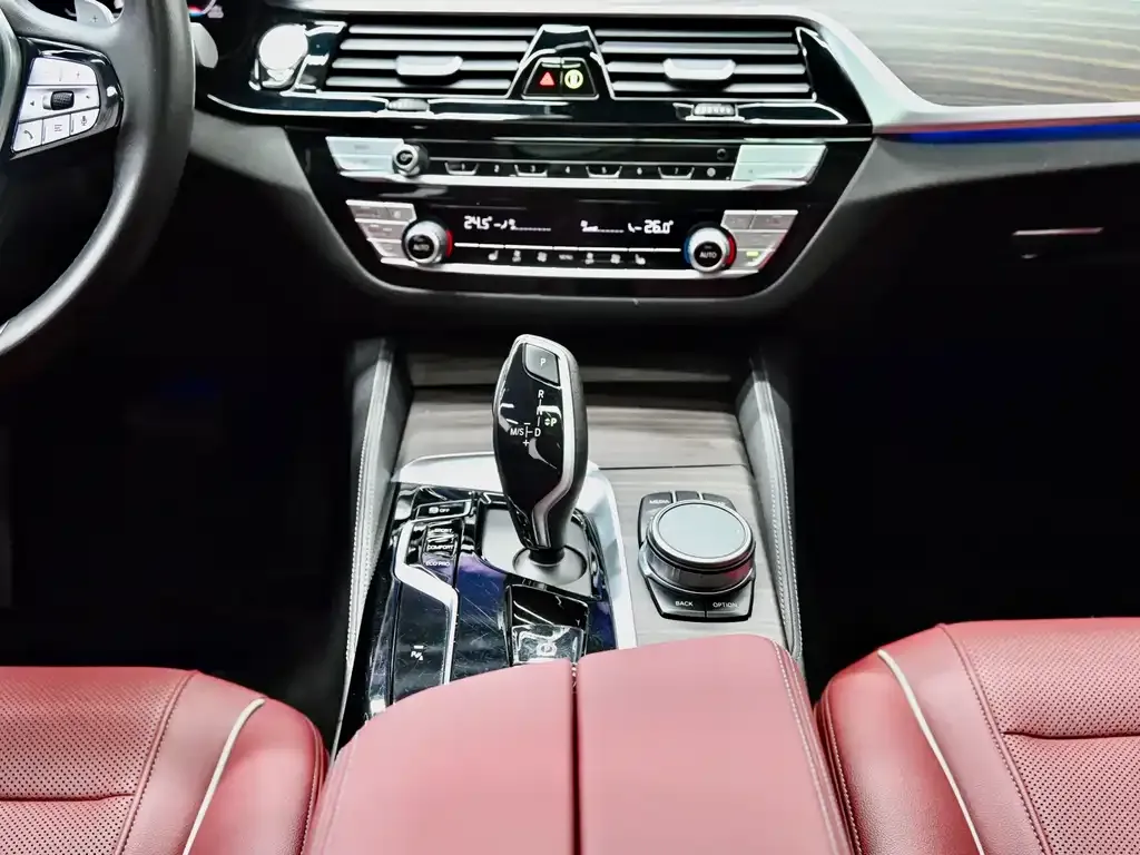 BMW 5 Series 2021 из CN, фото 10