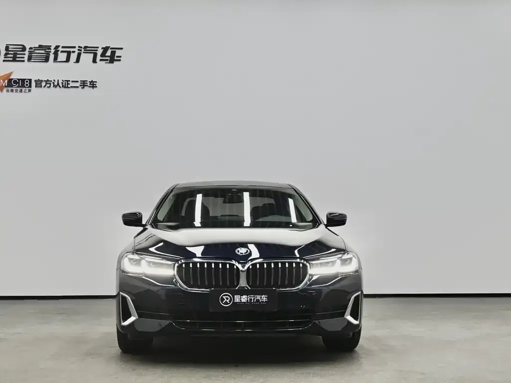 BMW 5 Series 2021 из CN, фото 2