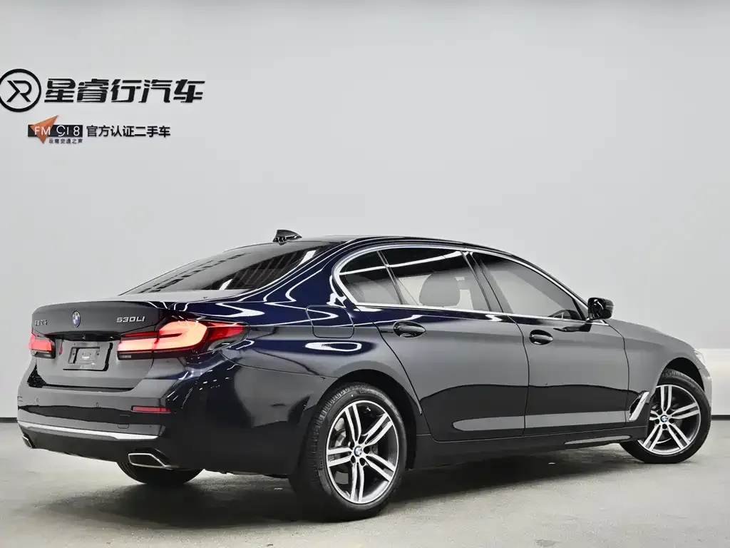 BMW 5 Series 2021 из CN, фото 3