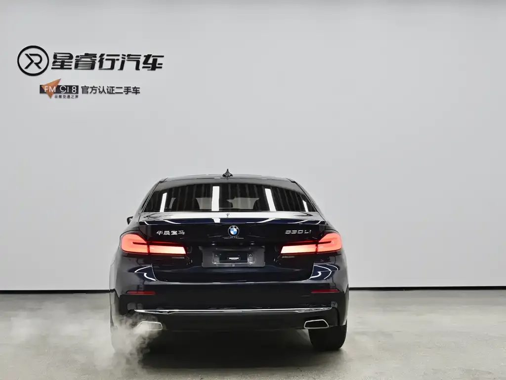BMW 5 Series 2021 из CN, фото 4