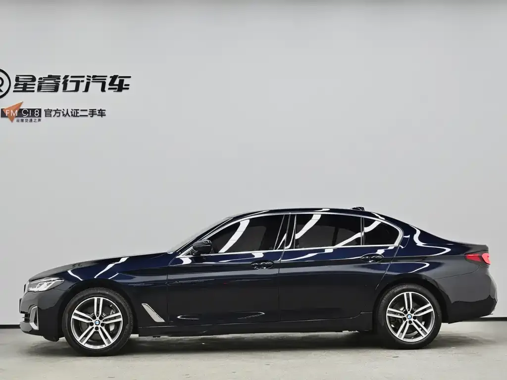 BMW 5 Series 2021 из CN, фото 6