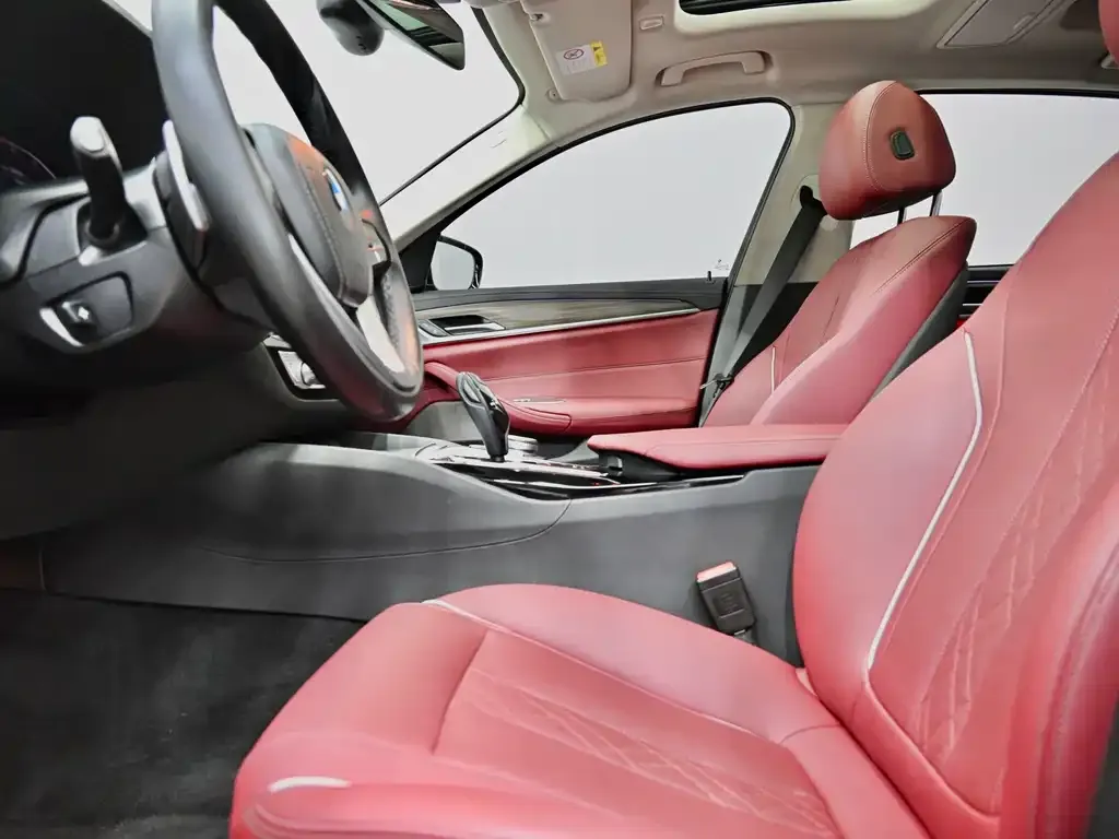 BMW 5 Series 2021 из CN, фото 7