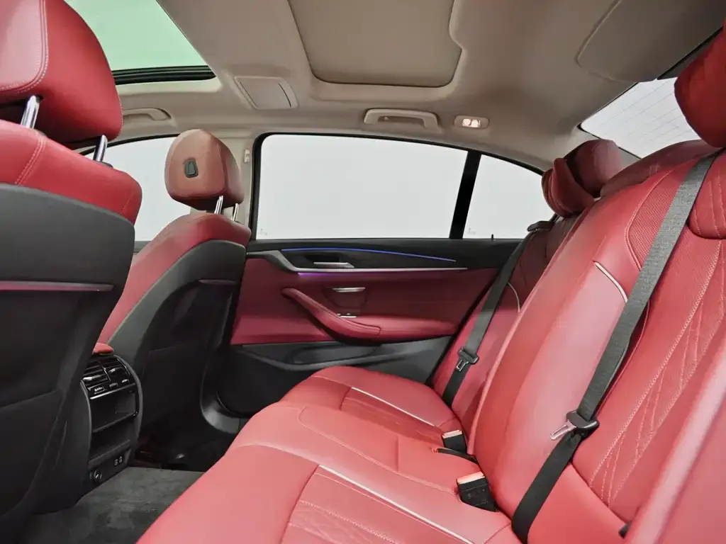 BMW 5 Series 2021 из CN, фото 8