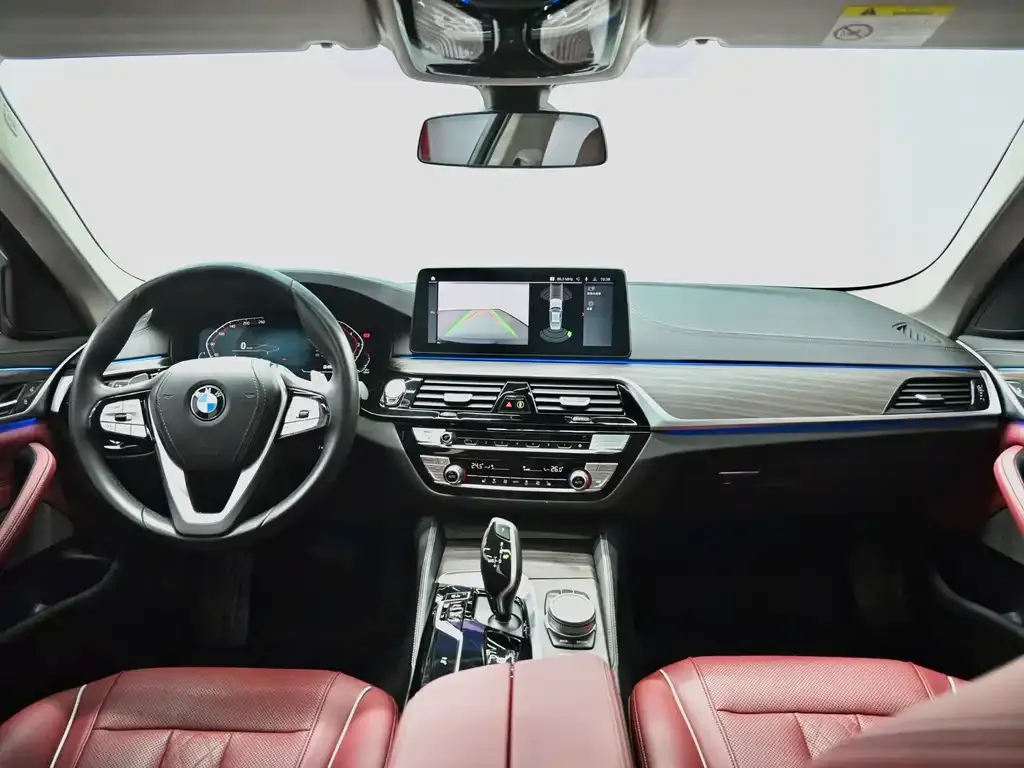 BMW 5 Series 2021 из CN, фото 9
