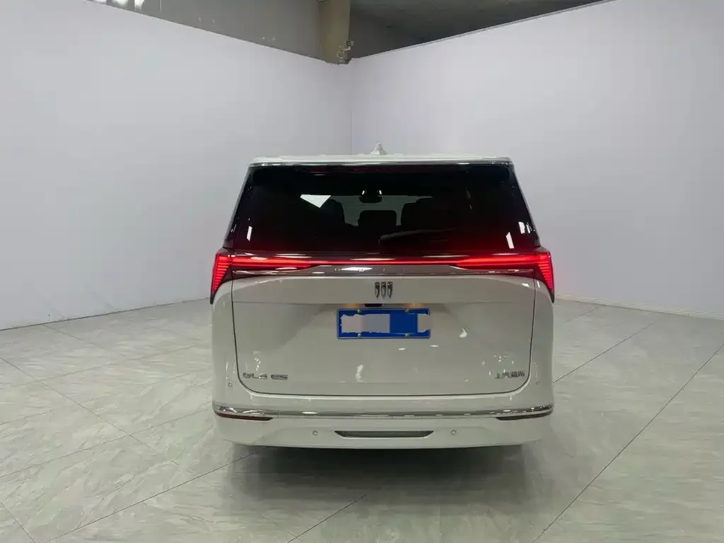 Buick GL8 2024 из CN, фото 5