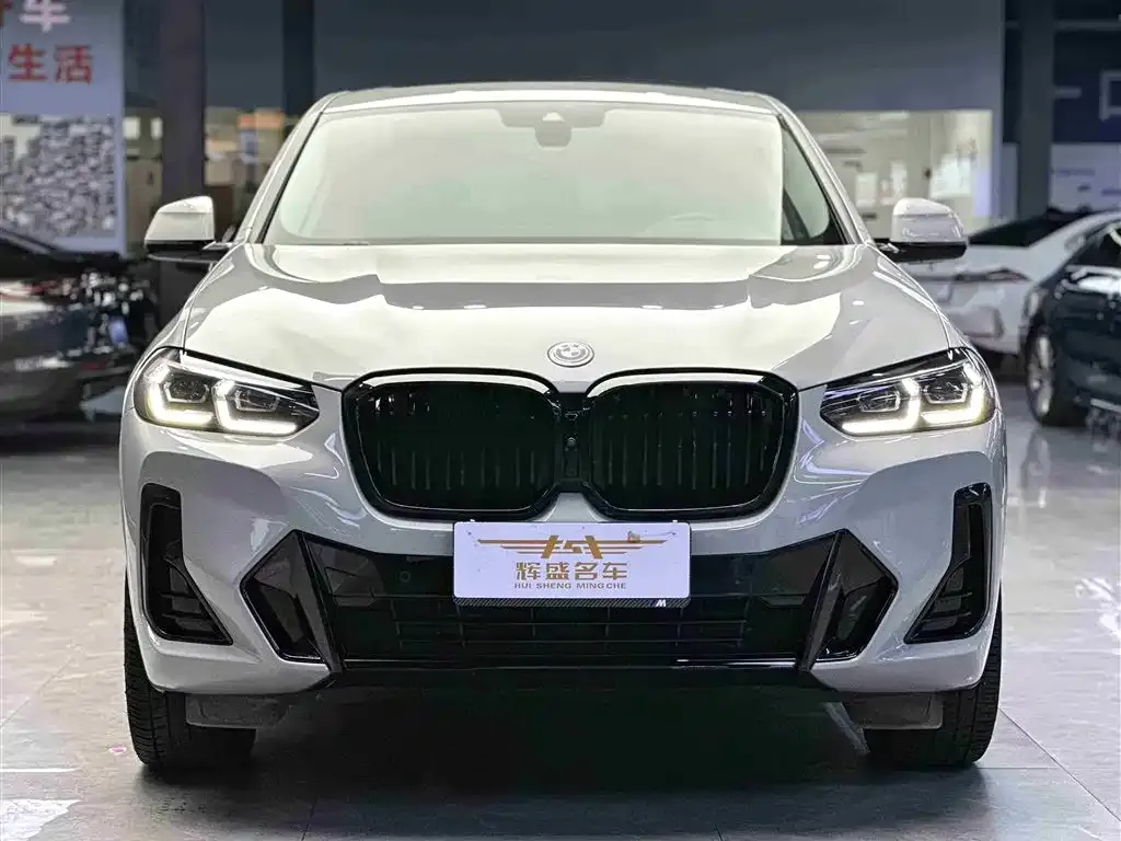 BMW X4 2022 из CN, фото 2
