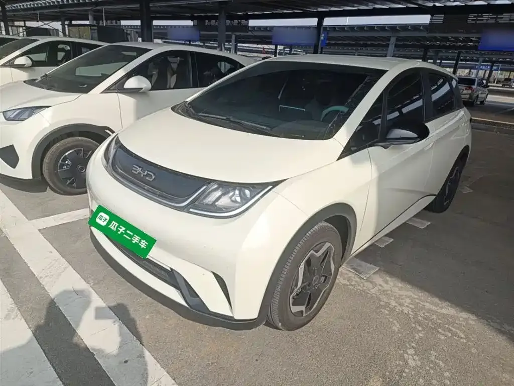 BYD Dolphin 2024 из CN, фото 2