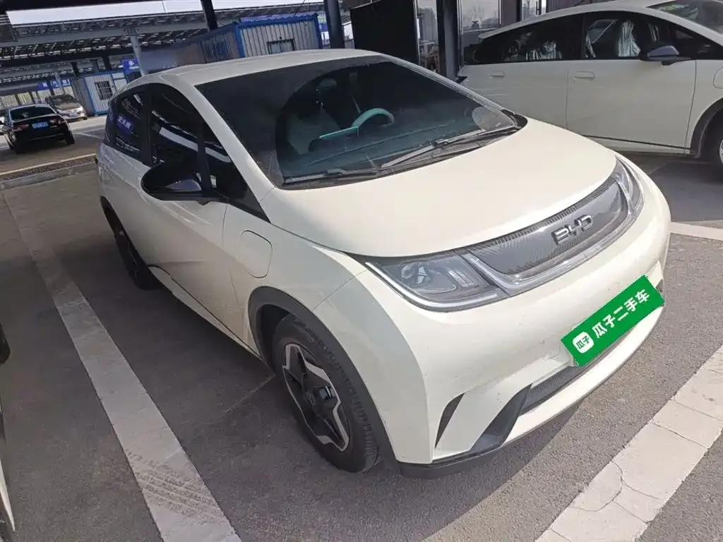 BYD Dolphin 2024 из CN, фото 4