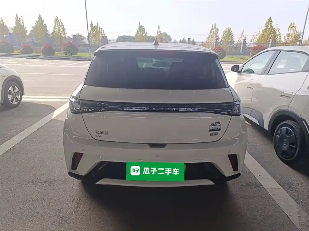 BYD Dolphin 2024 из CN, фото 6