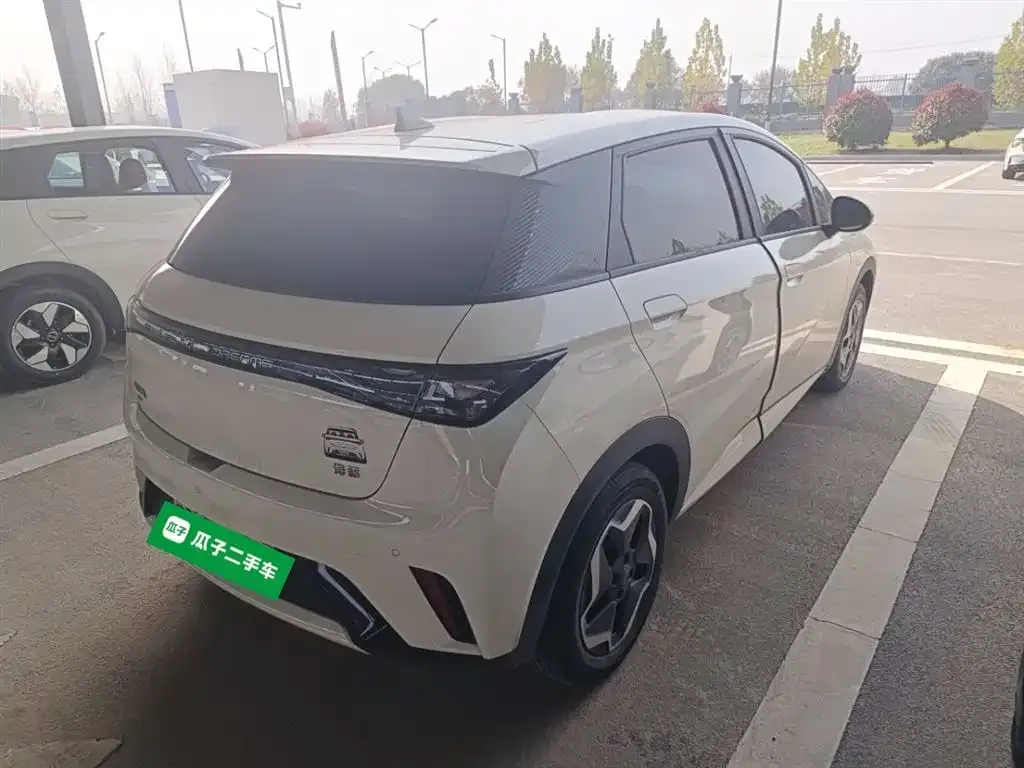 BYD Dolphin 2024 из CN, фото 7