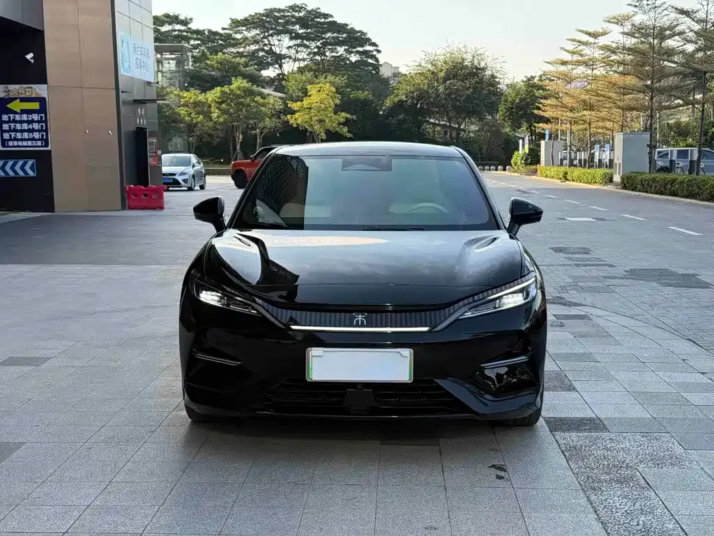 BYD L EV 2024 из CN, фото 2