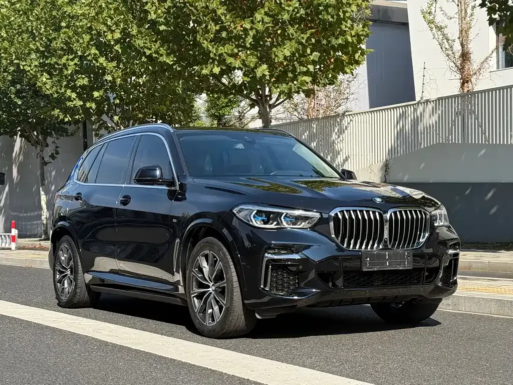 BMW X5 2024 из CN, фото 3