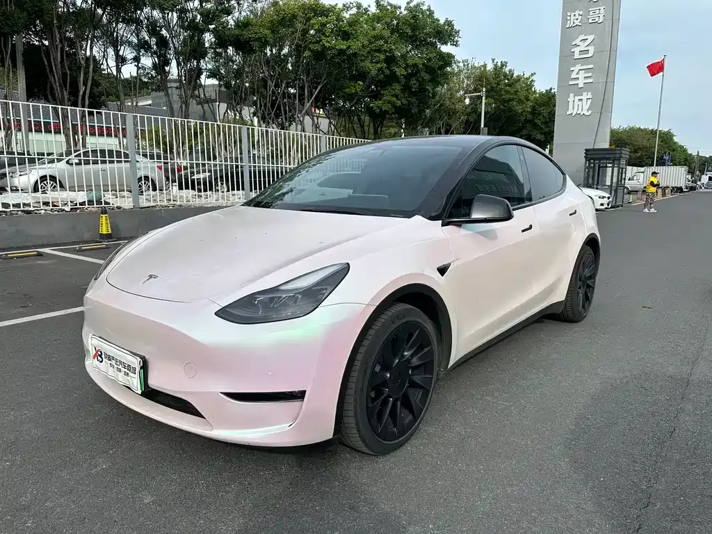 Tesla Model Y 2022 из CN, фото 1