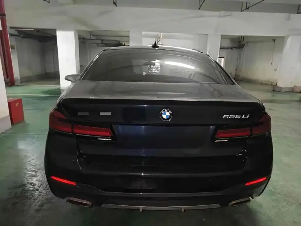 BMW 5 Series 2023 из CN, фото 6