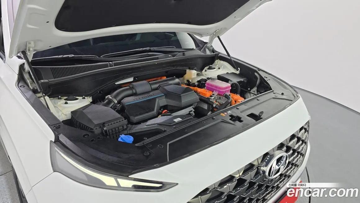 Hyundai Santafe 2022 из KR, фото 6
