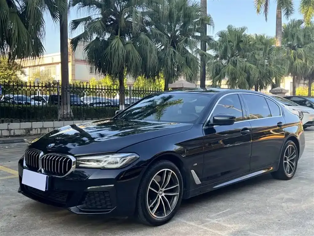 BMW 5 Series 2023 из CN, фото 1