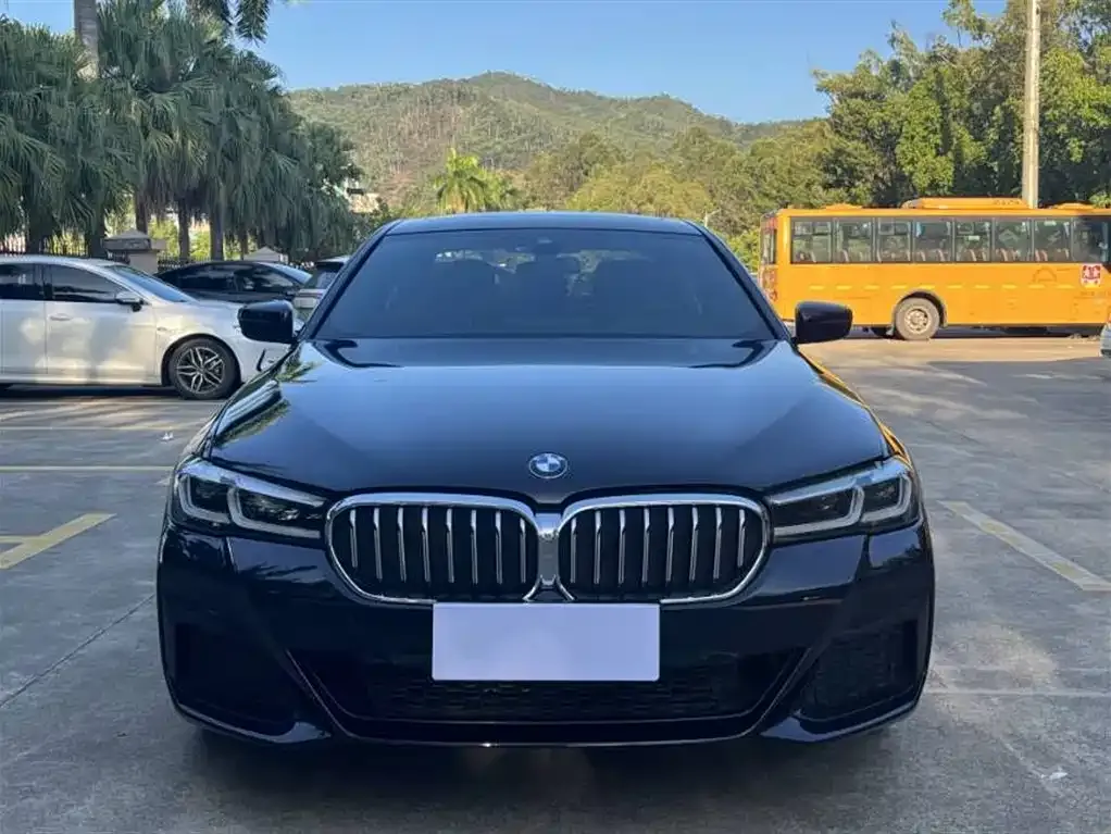 BMW 5 Series 2023 из CN, фото 2