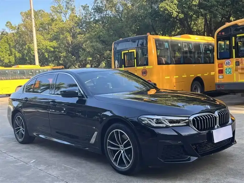 BMW 5 Series 2023 из CN, фото 3