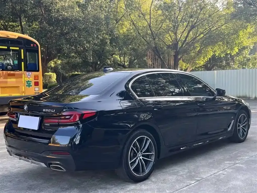 BMW 5 Series 2023 из CN, фото 7