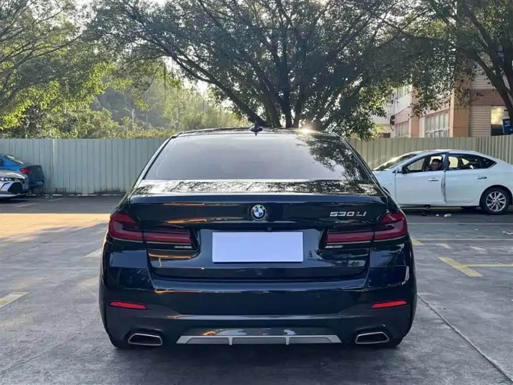 BMW 5 Series 2023 из CN, фото 8