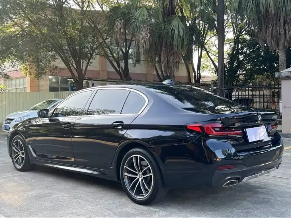 BMW 5 Series 2023 из CN, фото 9