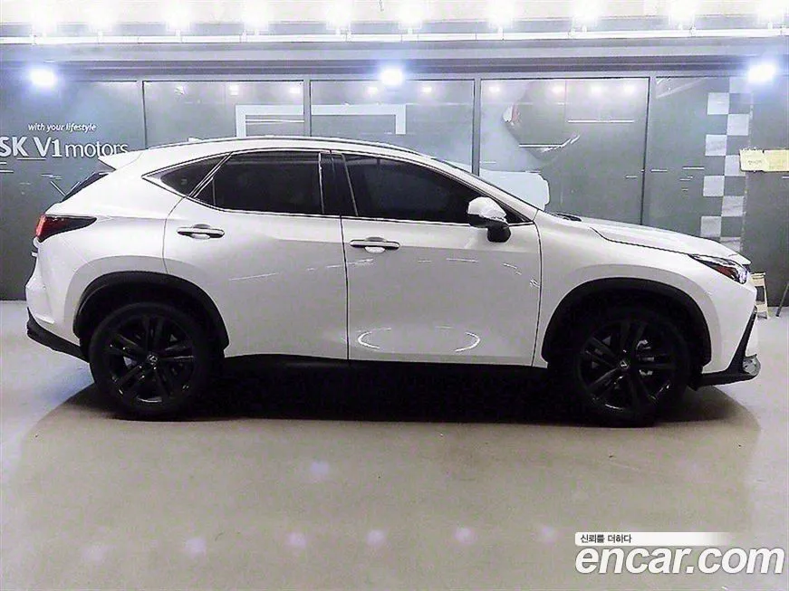 Lexus NX 2025 из KR, фото 3