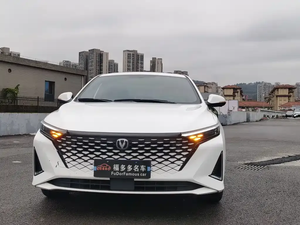 Changan Ruicheng PLUS 2023 из CN, фото 2