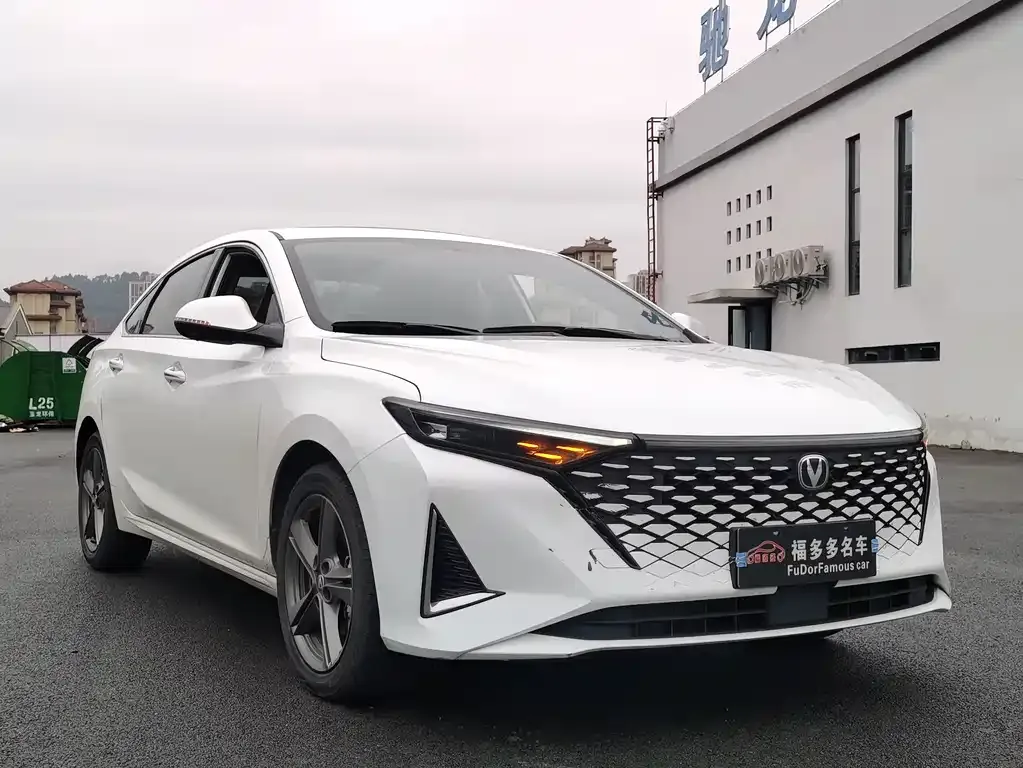 Changan Ruicheng PLUS 2023 из CN, фото 3