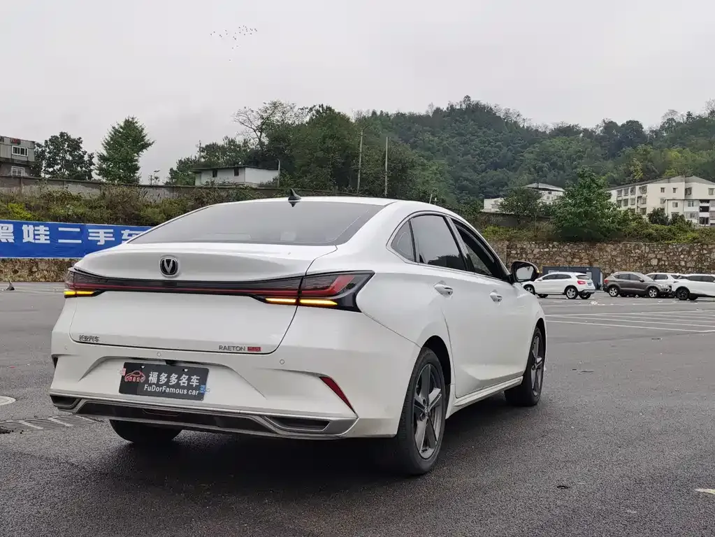 Changan Ruicheng PLUS 2023 из CN, фото 7