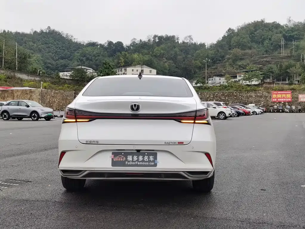 Changan Ruicheng PLUS 2023 из CN, фото 8
