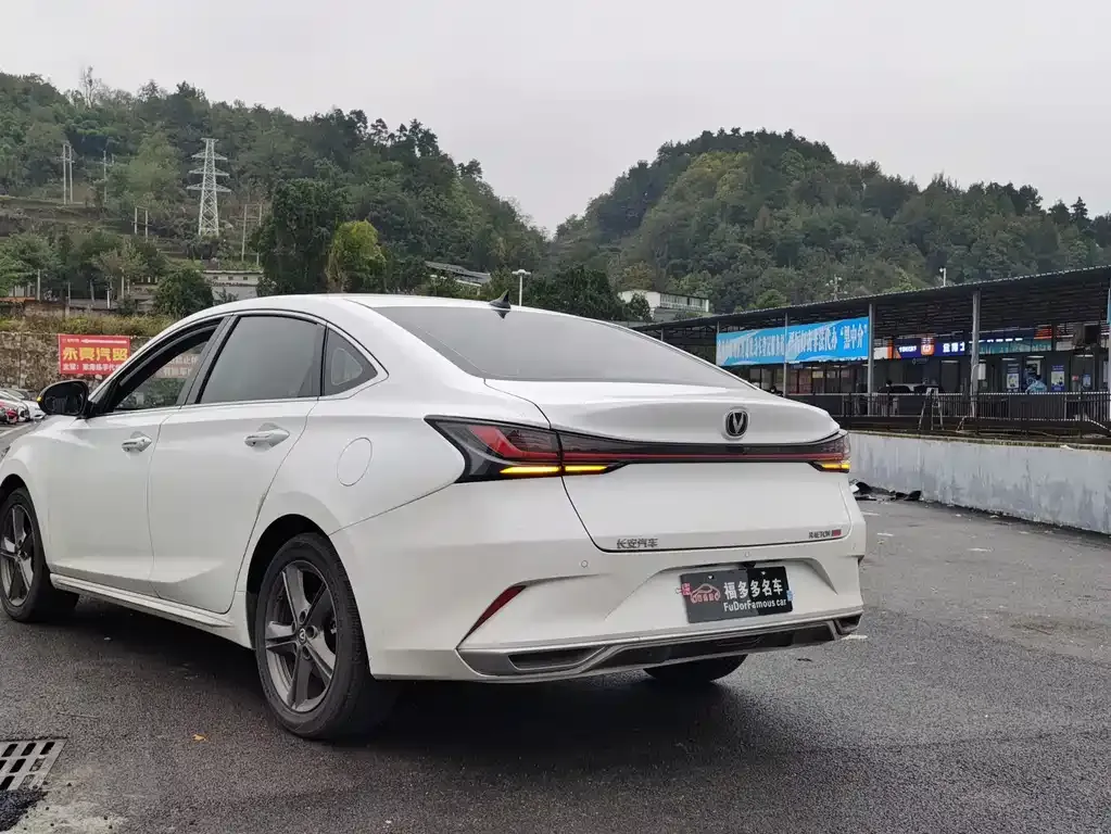 Changan Ruicheng PLUS 2023 из CN, фото 9