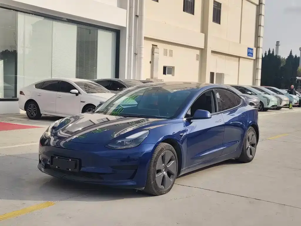 Tesla Model 3 2021 из CN, фото 1