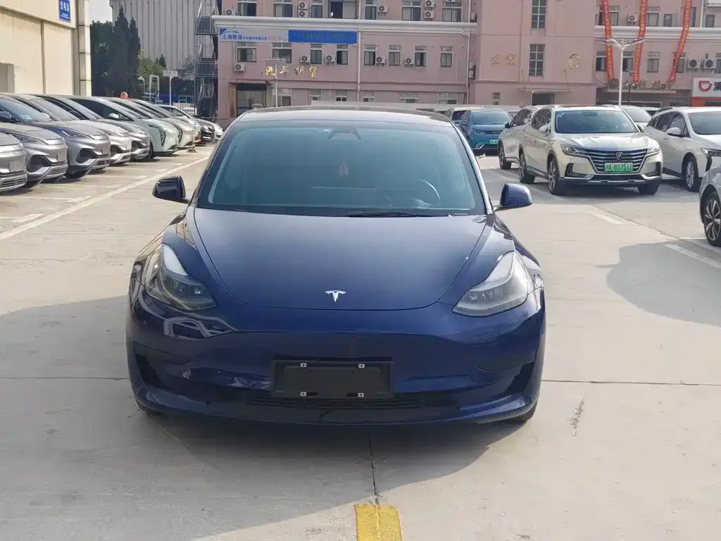 Tesla Model 3 2021 из CN, фото 2