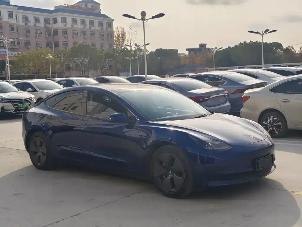Tesla Model 3 2021 из CN, фото 3