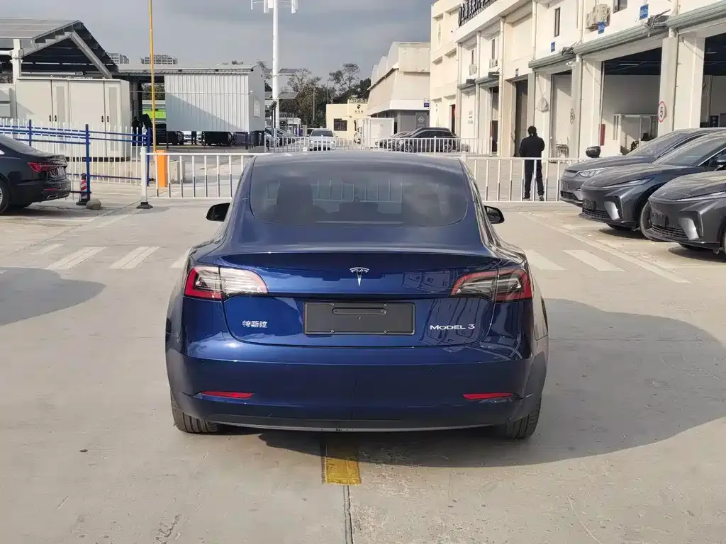 Tesla Model 3 2021 из CN, фото 4