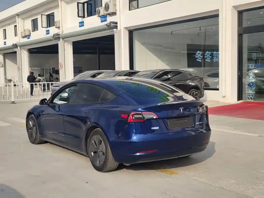 Tesla Model 3 2021 из CN, фото 5