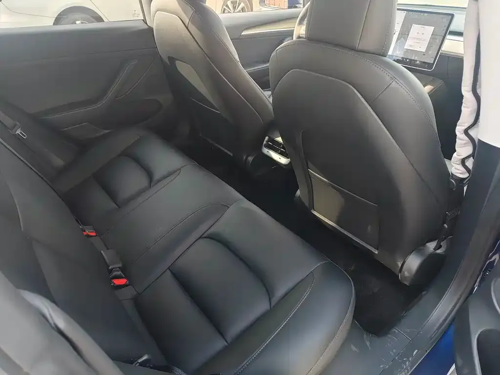 Tesla Model 3 2021 из CN, фото 9