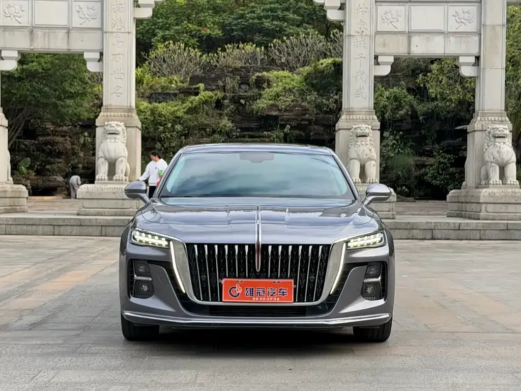 Hongqi H5 2023 из CN, фото 2