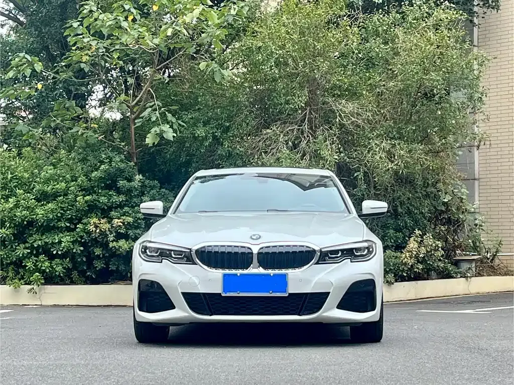 BMW 3 Series 2021 из CN, фото 2