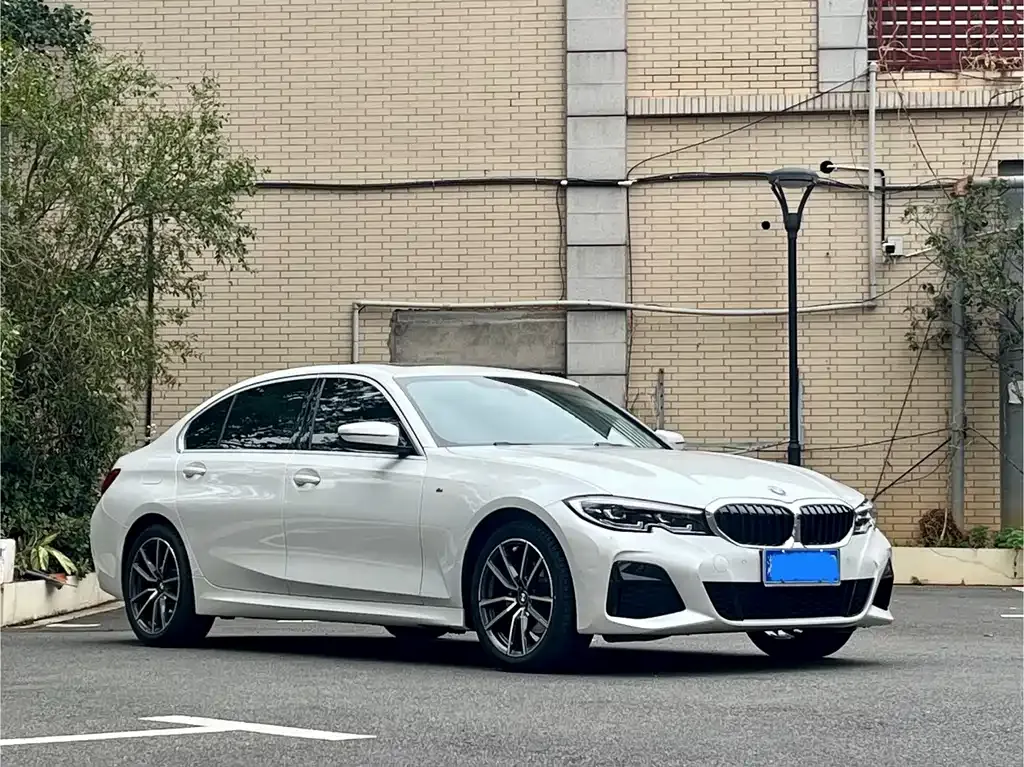 BMW 3 Series 2021 из CN, фото 3