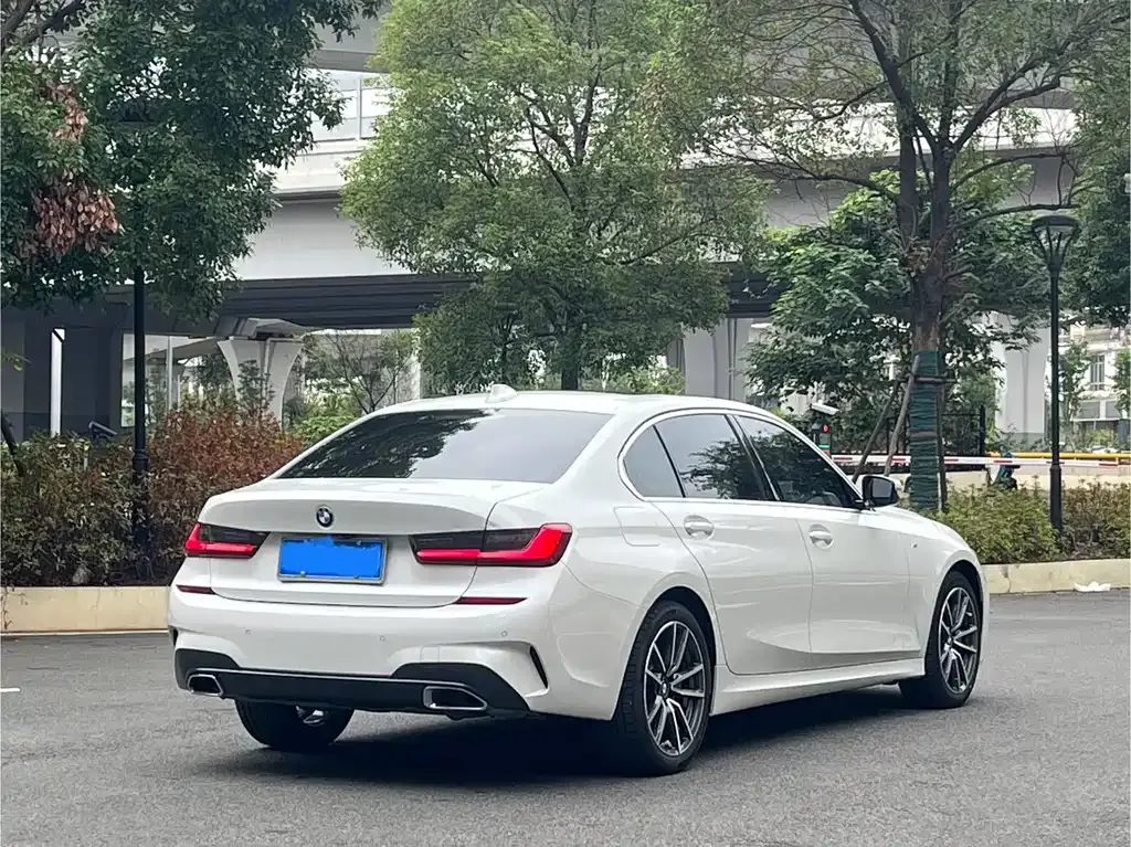 BMW 3 Series 2021 из CN, фото 7