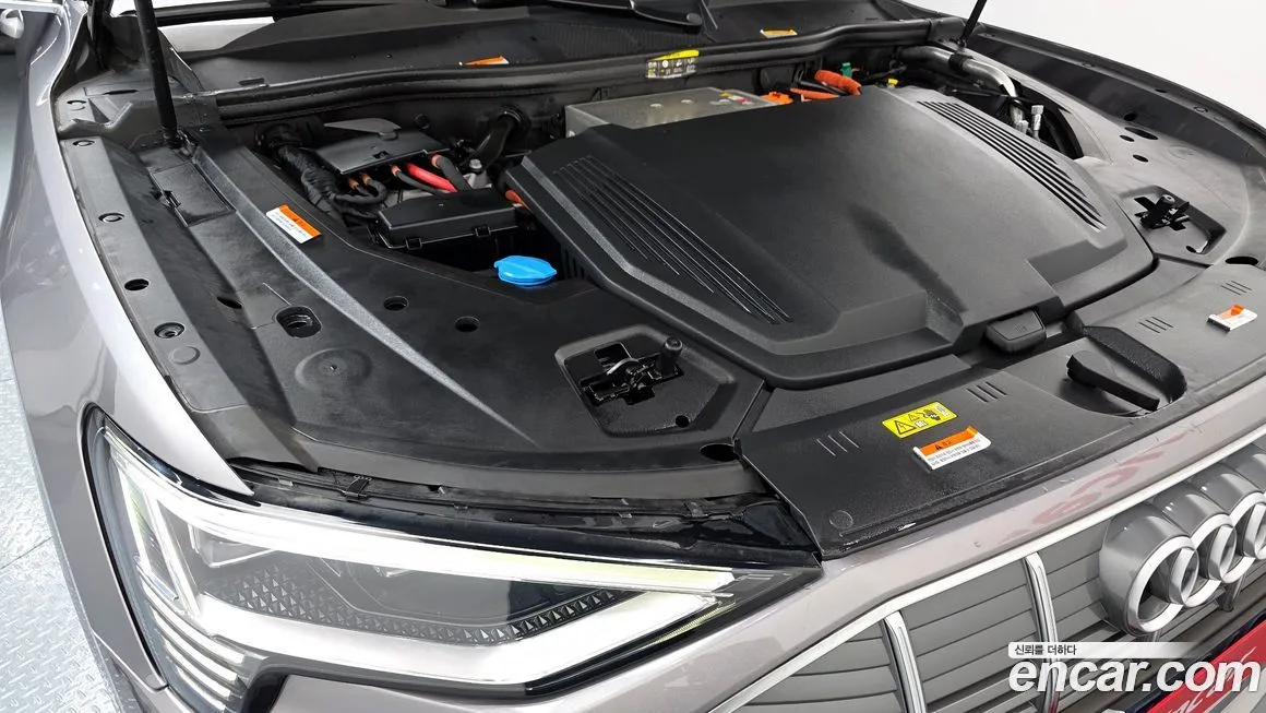 Audi e-tron 2021 из KR, фото 6