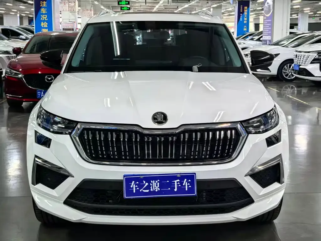 Skoda Kodiaq 2024 из CN, фото 2